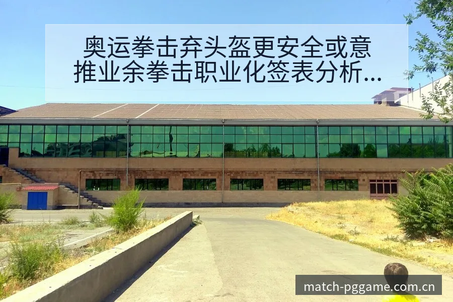 奥运拳击弃头盔更安全或意推业余拳击职业化签表分析 - pg电子